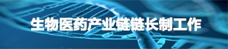 生物醫(yī)藥產(chǎn)業(yè)鏈鏈長制工作